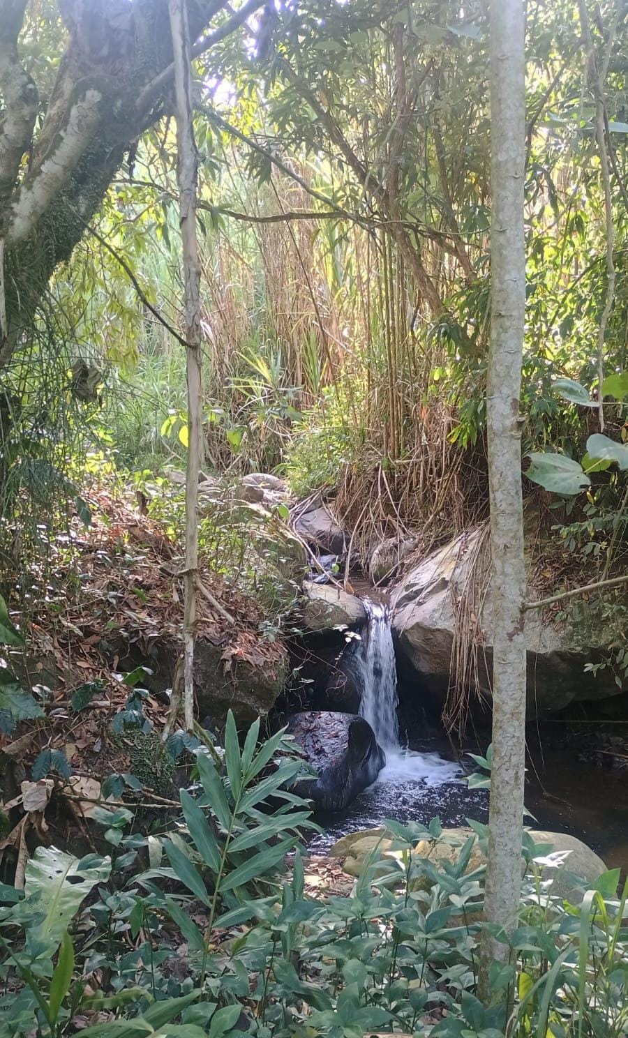 Cascadas de Obispo