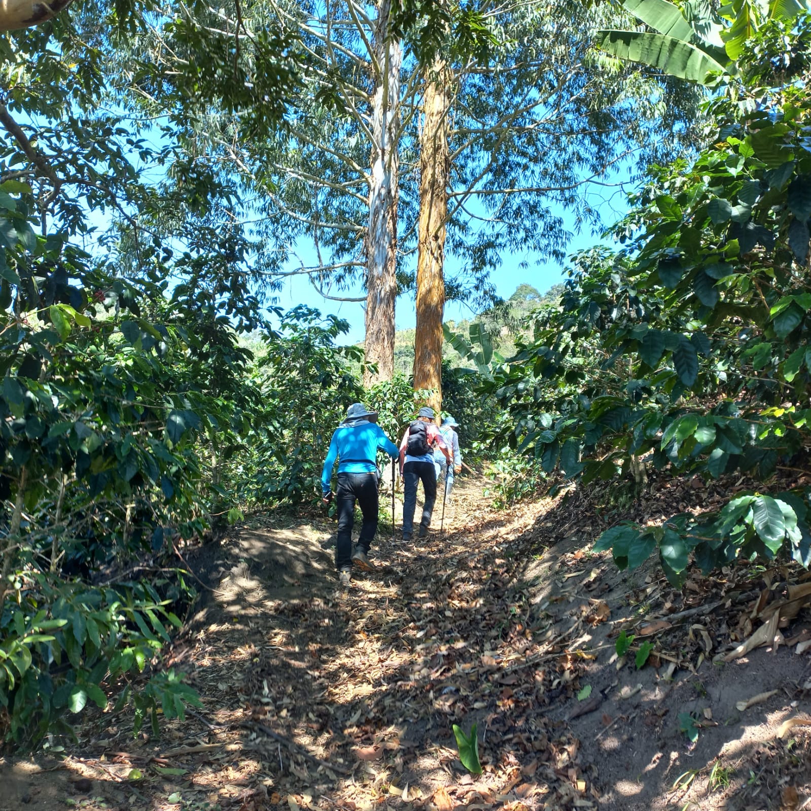 Ruta La Quinta – La Divisa — foto 2